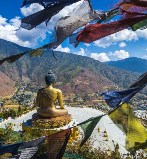 Great Buddha Dordenma is a gigantic Shakyamuni Buddha statue in the mountains of Bhutan , near Thimphu, the capital
